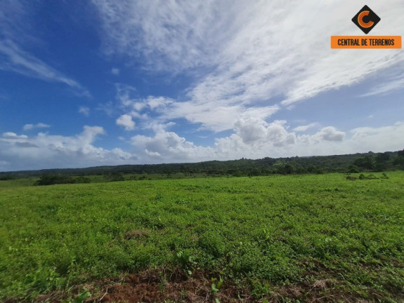 Imagem Imóvel com 2 Quartos à Venda, 975.787 m² em Barra De Pojuca - Camaçari Imagem Imóvel com 2 Quartos à Venda, 975.787 m² em Barra De Pojuca - Camaçari