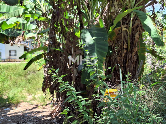 Imagem Imóvel com 4 Quartos à Venda, 110 m² em Chácara Santa Margarida - Campinas Imagem Imóvel com 4 Quartos à Venda, 110 m² em Chácara Santa Margarida - Campinas