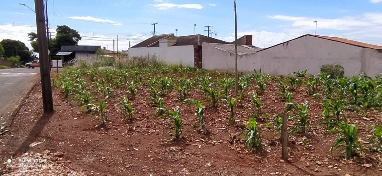 Imagem Terreno à Venda, 372 m² em Arapongas Imagem Terreno à Venda, 372 m² em Arapongas