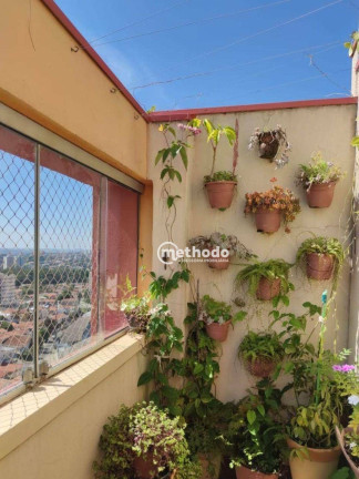Imagem Cobertura com 3 Quartos à Venda, 150 m² em Ponte Preta - Campinas Imagem Cobertura com 3 Quartos à Venda, 150 m² em Ponte Preta - Campinas