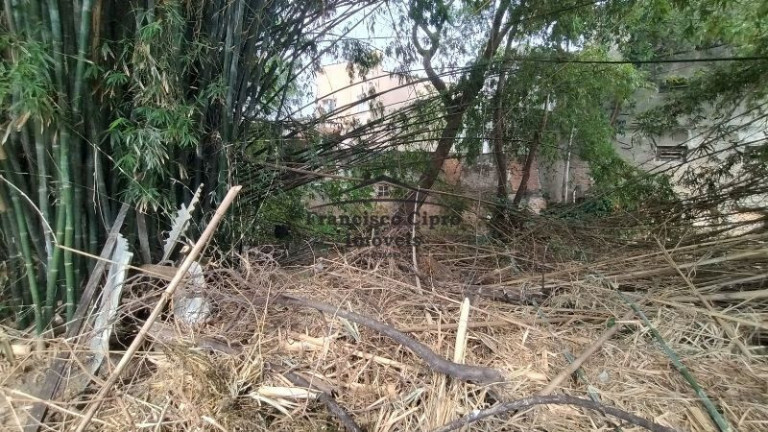 Imagem Terreno à Venda, 6.830 m² em Centro - Guaratinguetá Imagem Terreno à Venda, 6.830 m² em Centro - Guaratinguetá