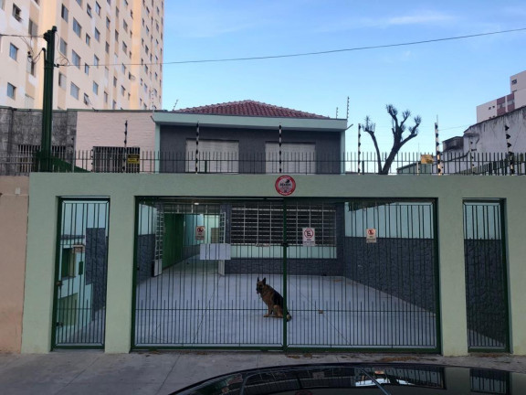 Imagem Imóvel com 3 Quartos à Venda, 248 m² em Vila Monumento - São Paulo