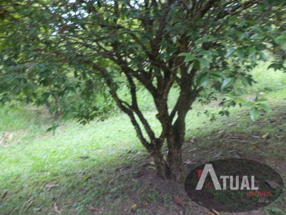 Imagem Terreno à Venda, 2 m² em Jardim Estância Brasil - Atibaia