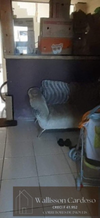 Imagem Sobrado com 2 Quartos à Venda, 117 m² em Santa Regina - Camboriú Imagem Sobrado com 2 Quartos à Venda, 117 m² em Santa Regina - Camboriú