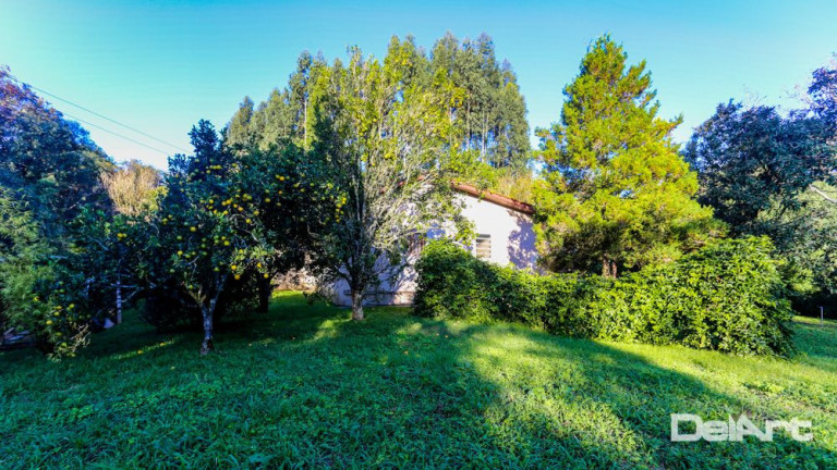 Imagem Chácara com 4 Quartos à Venda, 200 m² em área Rural - Mafra Imagem Chácara com 4 Quartos à Venda, 200 m² em área Rural - Mafra