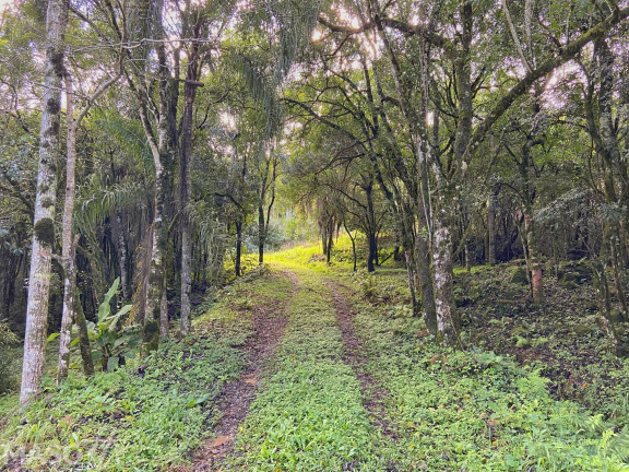 Imagem Terreno à Venda, 5.000 m² em Araripe - Gramado Imagem Terreno à Venda, 5.000 m² em Araripe - Gramado