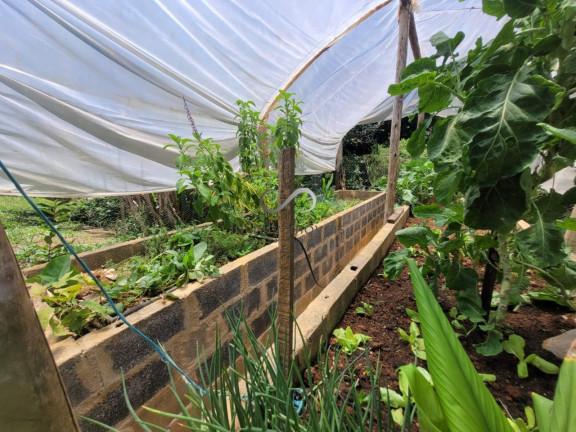 Imagem Chácara com 3 Quartos à Venda, 25.700 m² em Quintas Da Fazendinha - Matozinhos