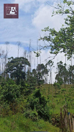 Imagem Imóvel à Venda, 24.200 m² em área Rural De Lorena - Lorena Imagem Imóvel à Venda, 24.200 m² em área Rural De Lorena - Lorena