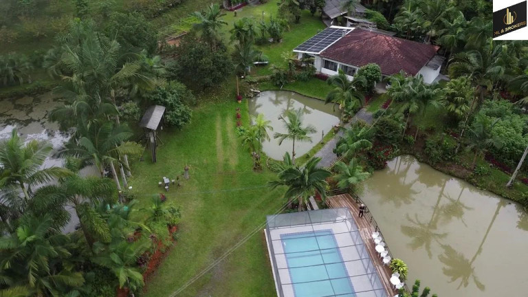 Imagem Imóvel com 4 Quartos à Venda, 30.000 m² em Zona Rural - Vidal Ramos Imagem Imóvel com 4 Quartos à Venda, 30.000 m² em Zona Rural - Vidal Ramos