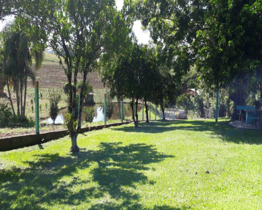 Imagem Imóvel com 3 Quartos à Venda, em Linha Olinda - Nova Petrópolis Imagem Imóvel com 3 Quartos à Venda, em Linha Olinda - Nova Petrópolis