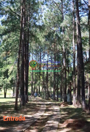 Imagem Fazenda à Venda, 762 m² em Guaxatuba - Cabreúva Imagem Fazenda à Venda, 762 m² em Guaxatuba - Cabreúva