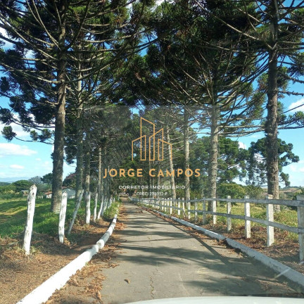 Imagem Fazenda à Venda, 190 m² em área Rural - Minduri Imagem Fazenda à Venda, 190 m² em área Rural - Minduri