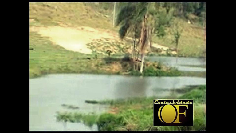Imagem Chácara à Venda, 55 m² em Rural - Amparo Imagem Chácara à Venda, 55 m² em Rural - Amparo