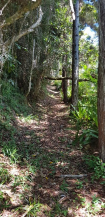 Imagem Imóvel com 2 Quartos para Temporada, em Serra Grande - Uruçuca Imagem Imóvel com 2 Quartos para Temporada, em Serra Grande - Uruçuca