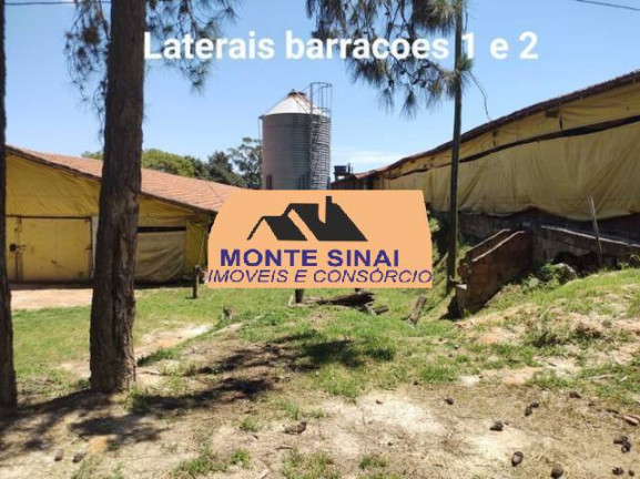 Imagem Chácara com 5 Quartos à Venda, 10 m² em Jardim Marabá - Itapetininga Imagem Chácara com 5 Quartos à Venda, 10 m² em Jardim Marabá - Itapetininga