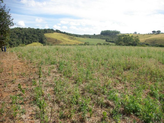 Imagem Imóvel à Venda, 435.600 m² em Zona Rural - Jacui