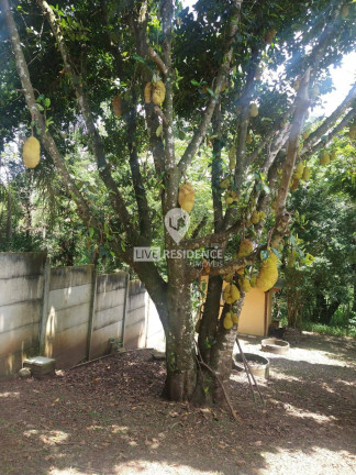 Imagem Chácara com 3 Quartos à Venda, 357 m² em Jardim Estância Brasil - Atibaia Imagem Chácara com 3 Quartos à Venda, 357 m² em Jardim Estância Brasil - Atibaia