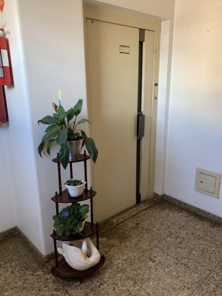 Imagem Apartamento com 4 Quartos à Venda, 150 m² em Penha - São Paulo Imagem Apartamento com 4 Quartos à Venda, 150 m² em Penha - São Paulo