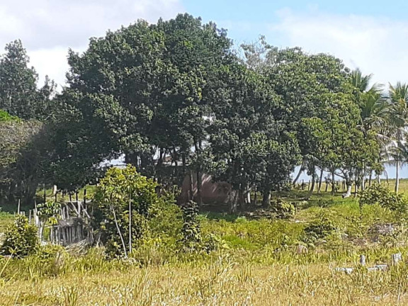 Imagem Imóvel com 1 Quarto à Venda, 774.400 m² em Mogiquiçaba - Belmonte Imagem Imóvel com 1 Quarto à Venda, 774.400 m² em Mogiquiçaba - Belmonte