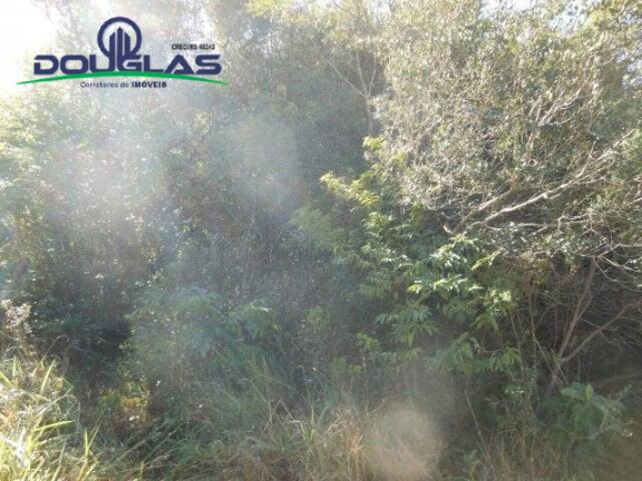 Imagem Terreno à Venda, 600 m² em águas Claras - Viamão