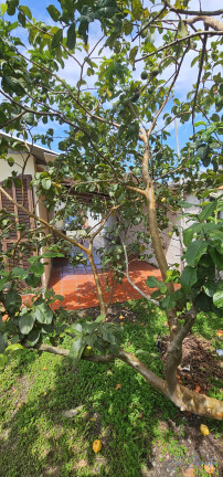 Imagem Casa com 3 Quartos à Venda, 120 m² em Cohapar - Matinhos Imagem Casa com 3 Quartos à Venda, 120 m² em Cohapar - Matinhos