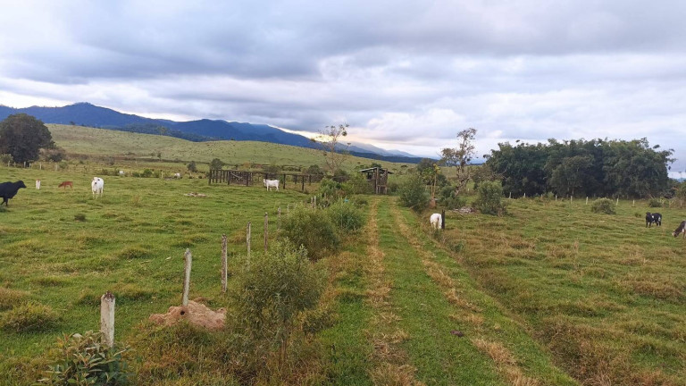Imagem Fazenda à Venda, 100 m² em Estiva - Taubaté Imagem Fazenda à Venda, 100 m² em Estiva - Taubaté