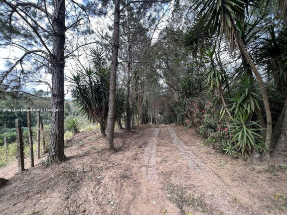 Imagem Imóvel à Venda, em Taboleiro Verde - Cotia Imagem Imóvel à Venda, em Taboleiro Verde - Cotia