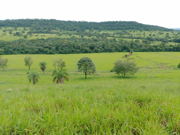Imagem Chácara à Venda, em Cuiabá Imagem Chácara à Venda, em Cuiabá