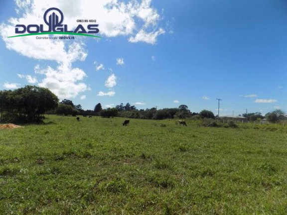 Imagem Terreno à Venda, 1.100 m² em águas Claras - Viamão