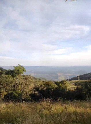 Imagem Fazenda à Venda, 9 m² em São João Da Boa Vista Imagem Fazenda à Venda, 9 m² em São João Da Boa Vista