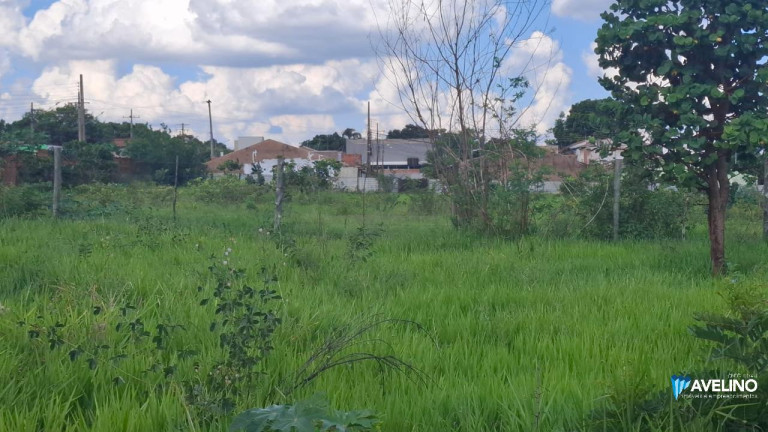 Imagem Casa com 1 Quarto à Venda, 3.100 m² em Pioneiros - Campo Grande Imagem Casa com 1 Quarto à Venda, 3.100 m² em Pioneiros - Campo Grande