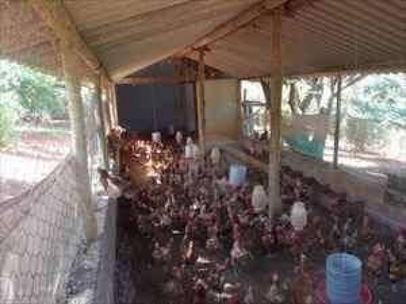 Imagem Chácara com 4 Quartos à Venda, 400 m² em Santa Rosa - Igarapé Imagem Chácara com 4 Quartos à Venda, 400 m² em Santa Rosa - Igarapé