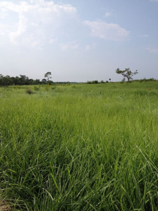 Imagem Imóvel à Venda,  em Natividade/to - Natividade