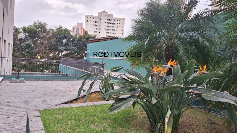 Imagem Apartamento com 3 Quartos à Venda, 73 m² em Jardim Ester - São Paulo