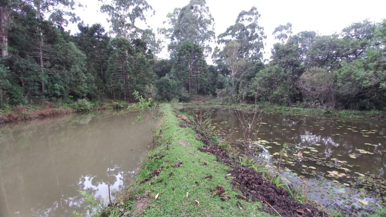 Imagem Chácara com 3 Quartos à Venda, 11 m² em Olaria - Bocaiúva Do Sul