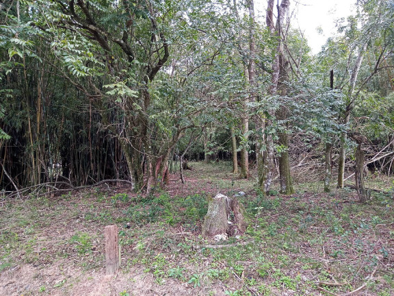Imagem Terreno à Venda, 713 m² em águas Claras - Viamão