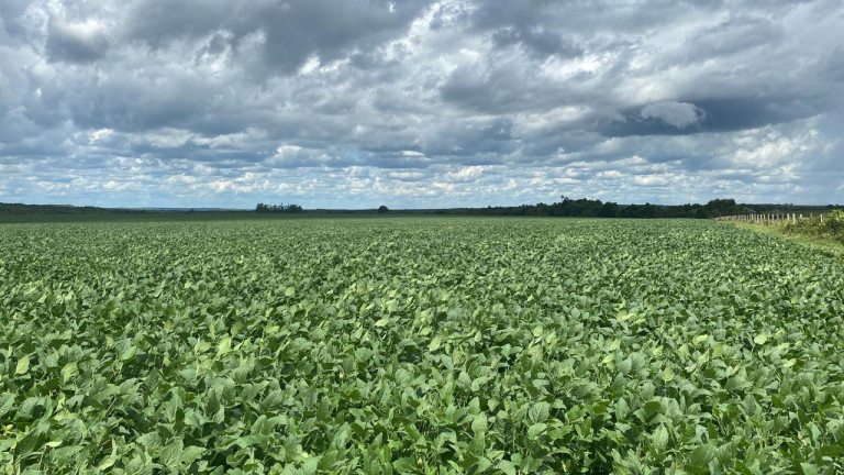 Imagem Fazenda à Venda, 963 m² em Rural - Rosário Oeste