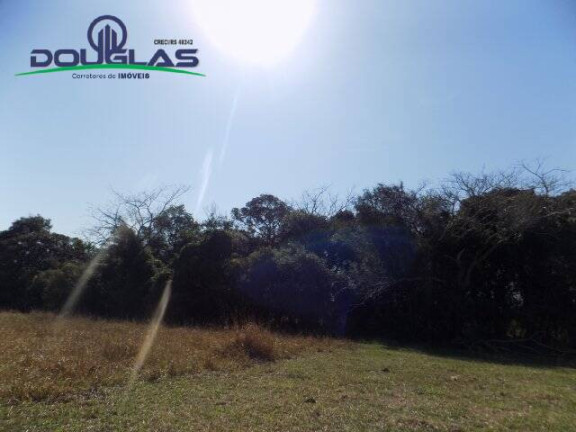 Imagem Chácara à Venda, 20.000 m² em águas Claras - Viamão