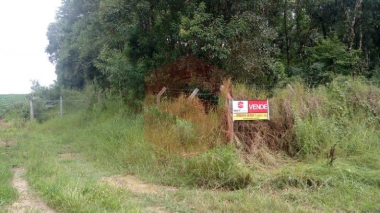 Imagem Chácara com 1 Quarto à Venda, 1 m² em Morro Do Cal - Campo Largo