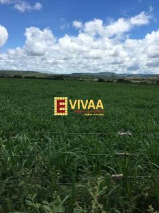 Imagem Fazenda à Venda, 21 m² em Novo São Joaquim