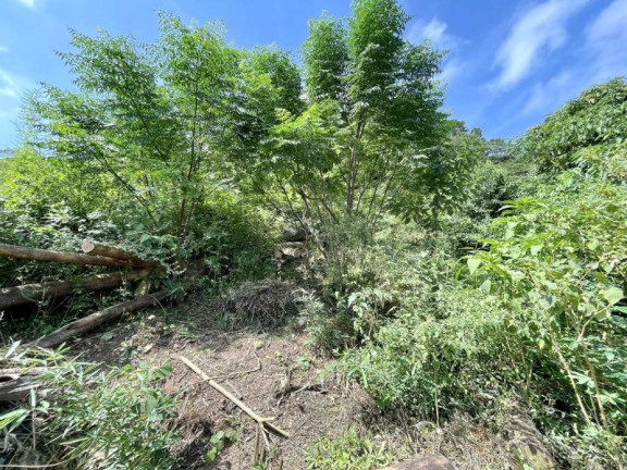 Imagem Imóvel à Venda, 907 m² em Granja Viana - Cotia Imagem Imóvel à Venda, 907 m² em Granja Viana - Cotia