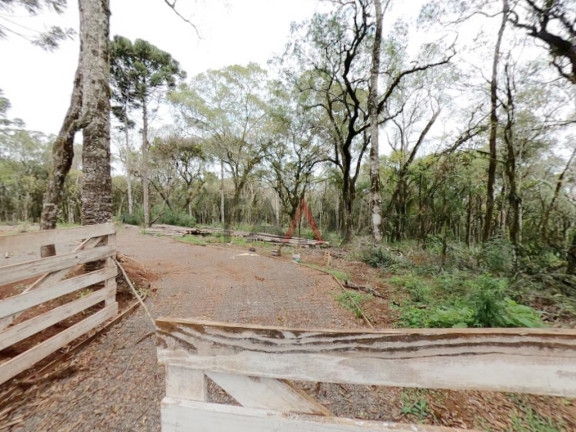 Imagem Fazenda à Venda, 20.000 m² em Jordão - Guarapuava Imagem Fazenda à Venda, 20.000 m² em Jordão - Guarapuava
