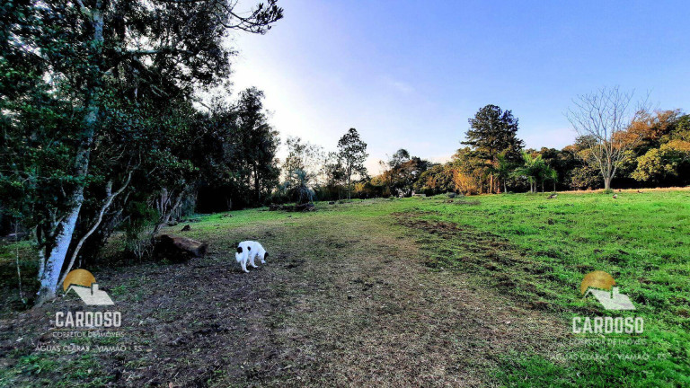 Imagem Fazenda à Venda, 30.000 m² em Passo Do Vigário - Viamão Imagem Fazenda à Venda, 30.000 m² em Passo Do Vigário - Viamão