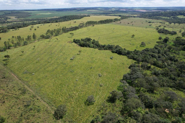 Imagem Fazenda à Venda, 42 m² em Zona Rural - Uberaba Imagem Fazenda à Venda, 42 m² em Zona Rural - Uberaba