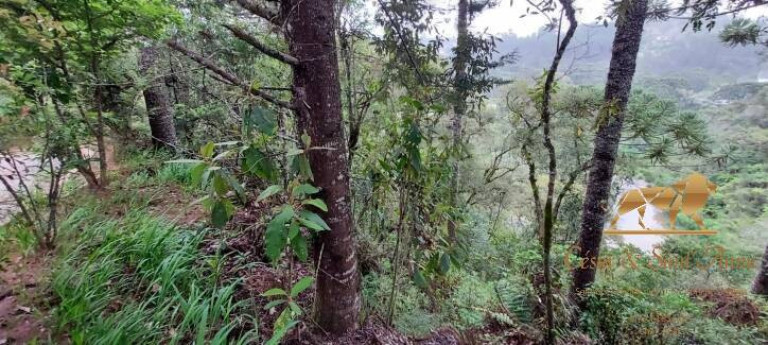 Imagem Terreno à Venda, 5.170 m² em Descansópolis - Campos Do Jordão Imagem Terreno à Venda, 5.170 m² em Descansópolis - Campos Do Jordão