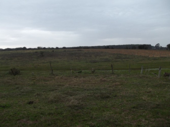 Imagem Chácara com 1 Quarto à Venda, 108.000 m² em Itapuã - Viamão Imagem Chácara com 1 Quarto à Venda, 108.000 m² em Itapuã - Viamão