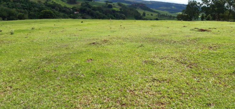 Imagem Chácara à Venda, 13 m² em Rural - Piraju Imagem Chácara à Venda, 13 m² em Rural - Piraju