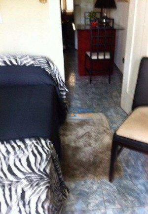 Imagem Apartamento com 1 Quarto para Alugar, 50 m² em Santa Cecília - São Paulo Imagem Apartamento com 1 Quarto para Alugar, 50 m² em Santa Cecília - São Paulo