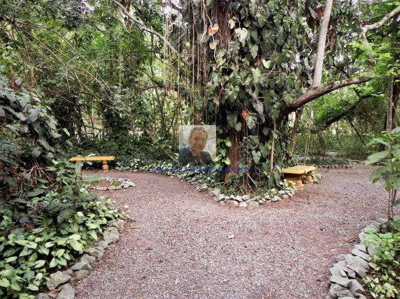 Imagem Terreno em Condomínio à Venda, 2.339 m² em Jardim Mediterrâneo - Cotia Imagem Terreno em Condomínio à Venda, 2.339 m² em Jardim Mediterrâneo - Cotia