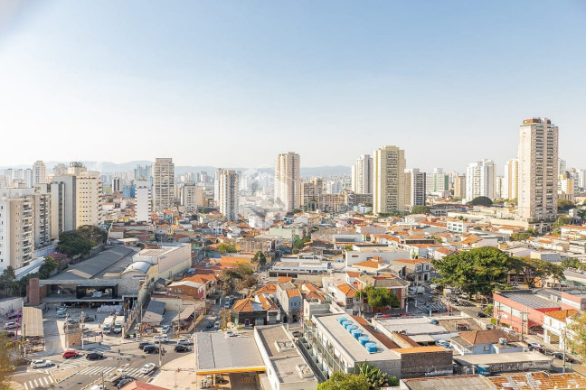 Imagem Apartamento com 4 Quartos à Venda, 171 m² em Vila Ipojuca - São Paulo